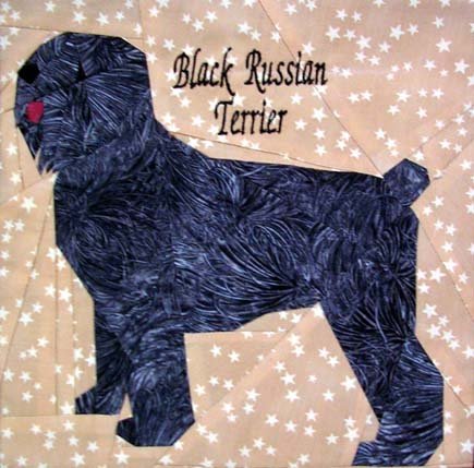 Black Russian Terrier