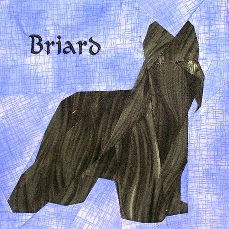 Briard