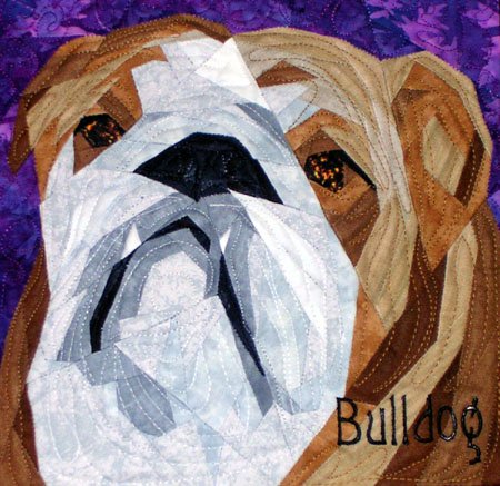 Bulldog Portrait