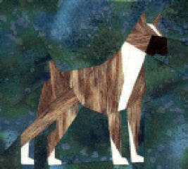 Boxer