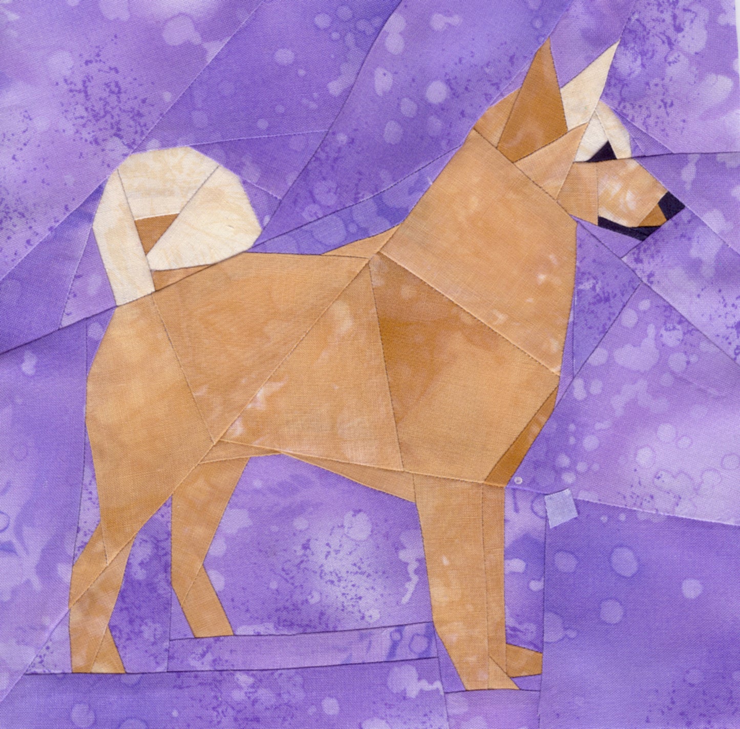 Canann Dog