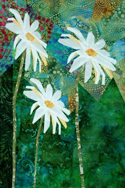 Daisies