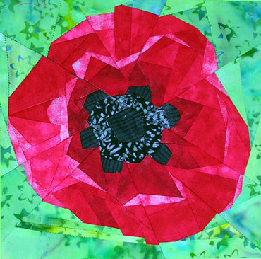 Red Poppy