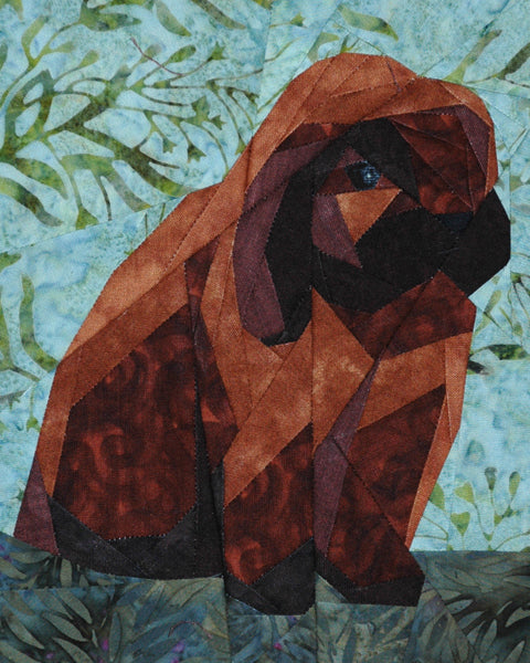 Holland Lop Black Tort