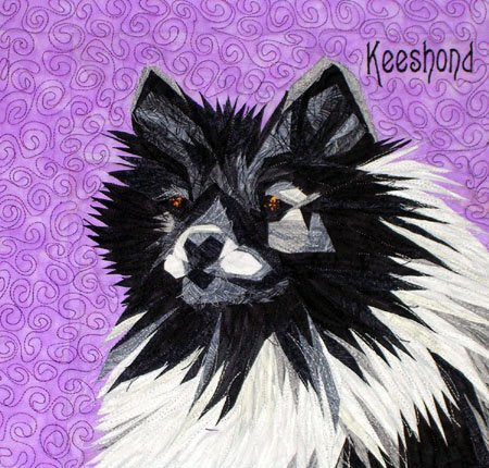 Keeshond Portrait