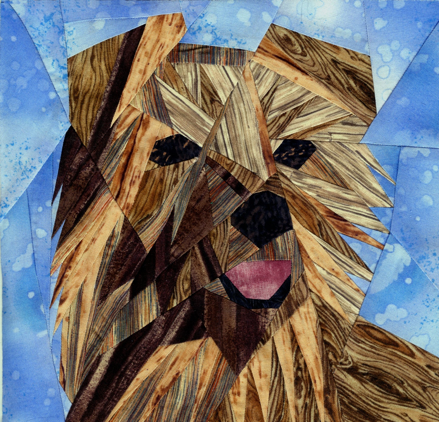 Norfolk Terrier Portrait