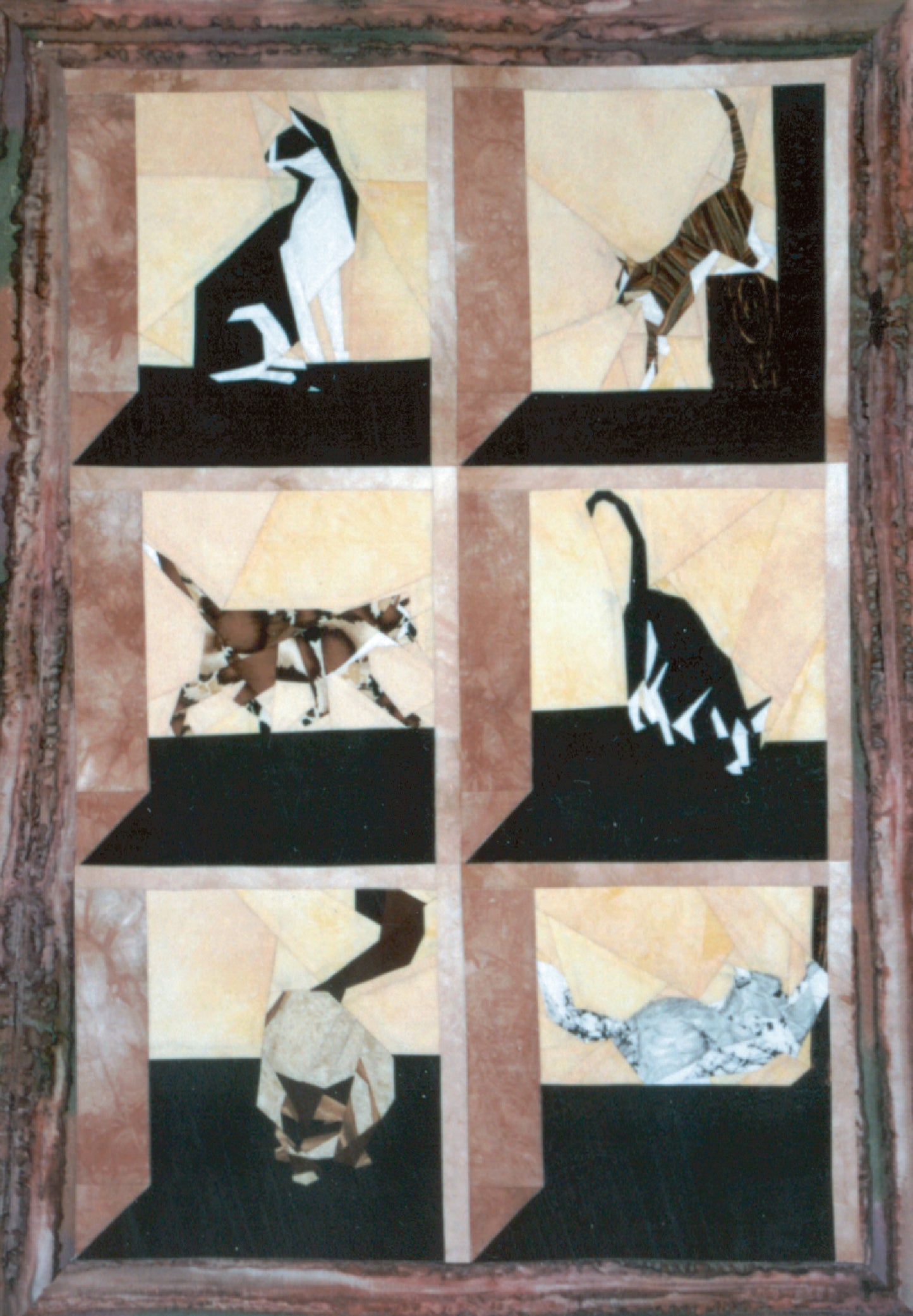 Cats in the Attic