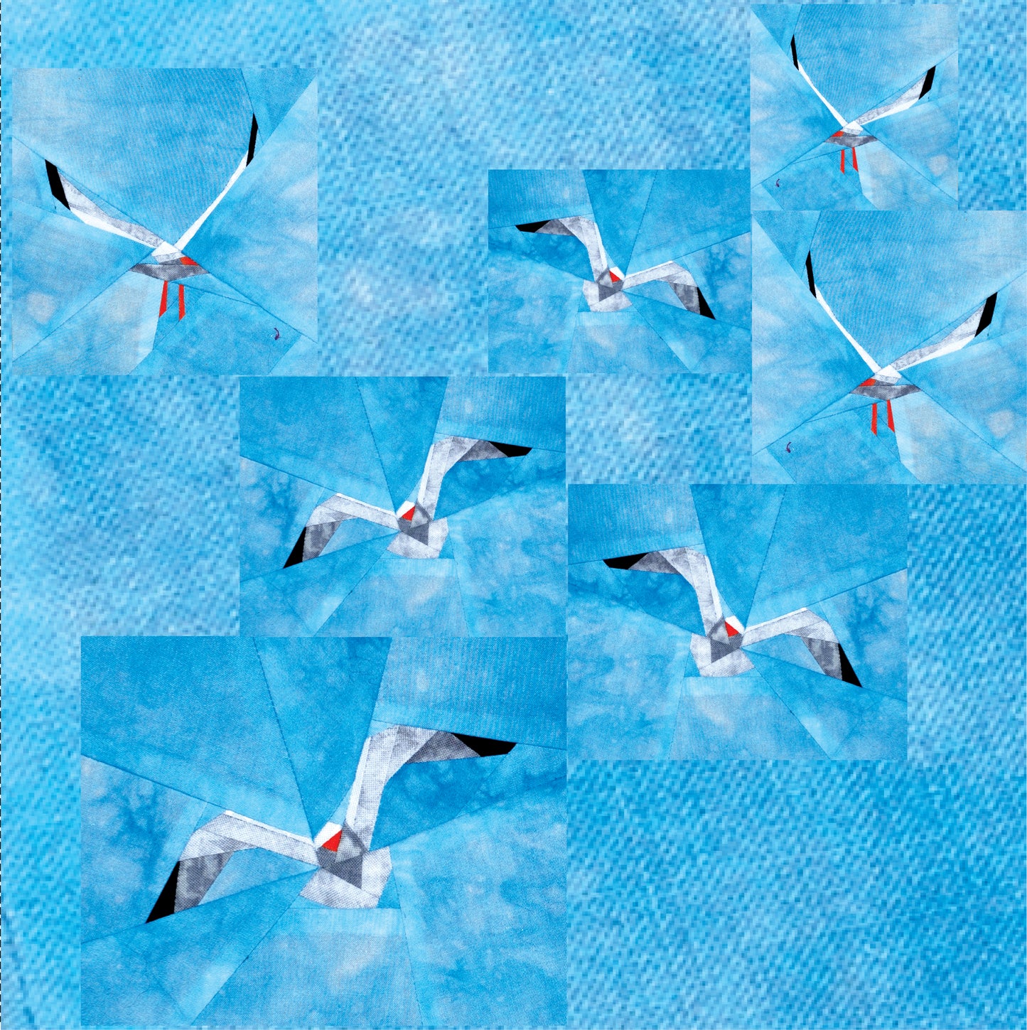 Seagull Flock