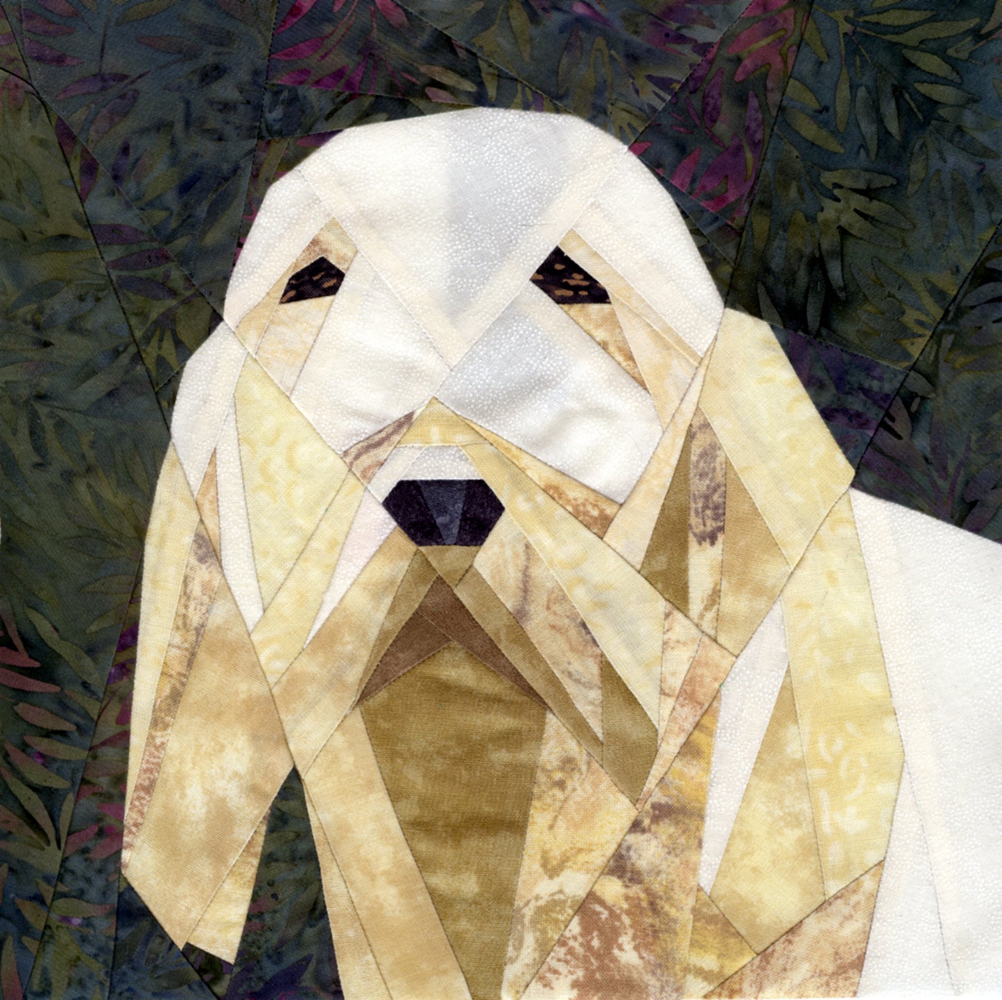 Spinone Italiano Portrait