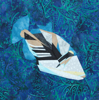 Trigger Fish
