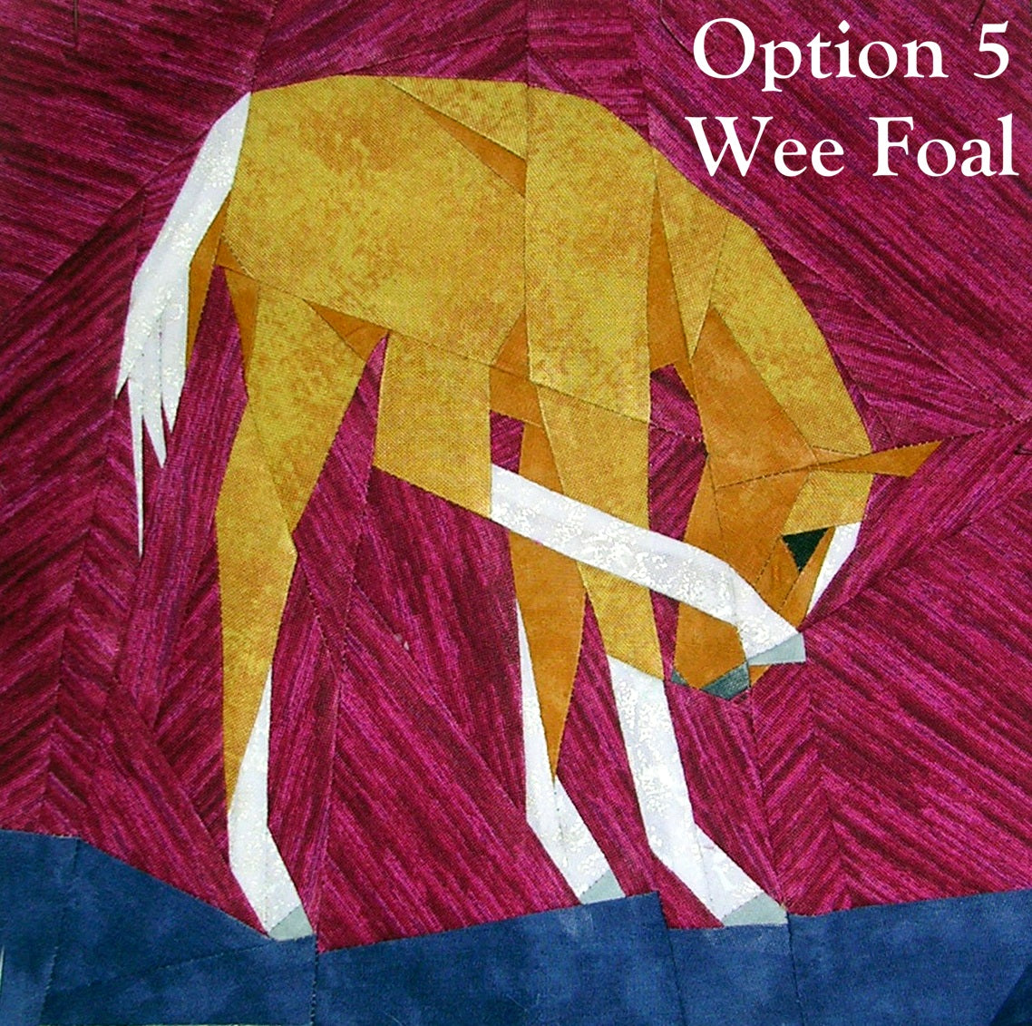 Beginners Starter Kit