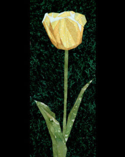Yellow Tulips