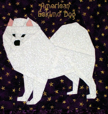 American Eskimo Dog