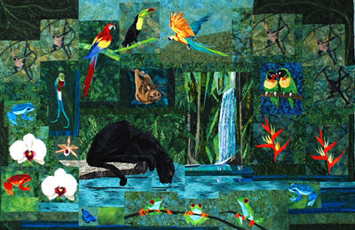 Treasures of the Rainforest