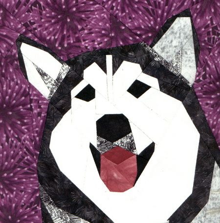 Alaskan Malamute Portrait