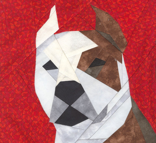 American Staffordshire Terrier (portrait)