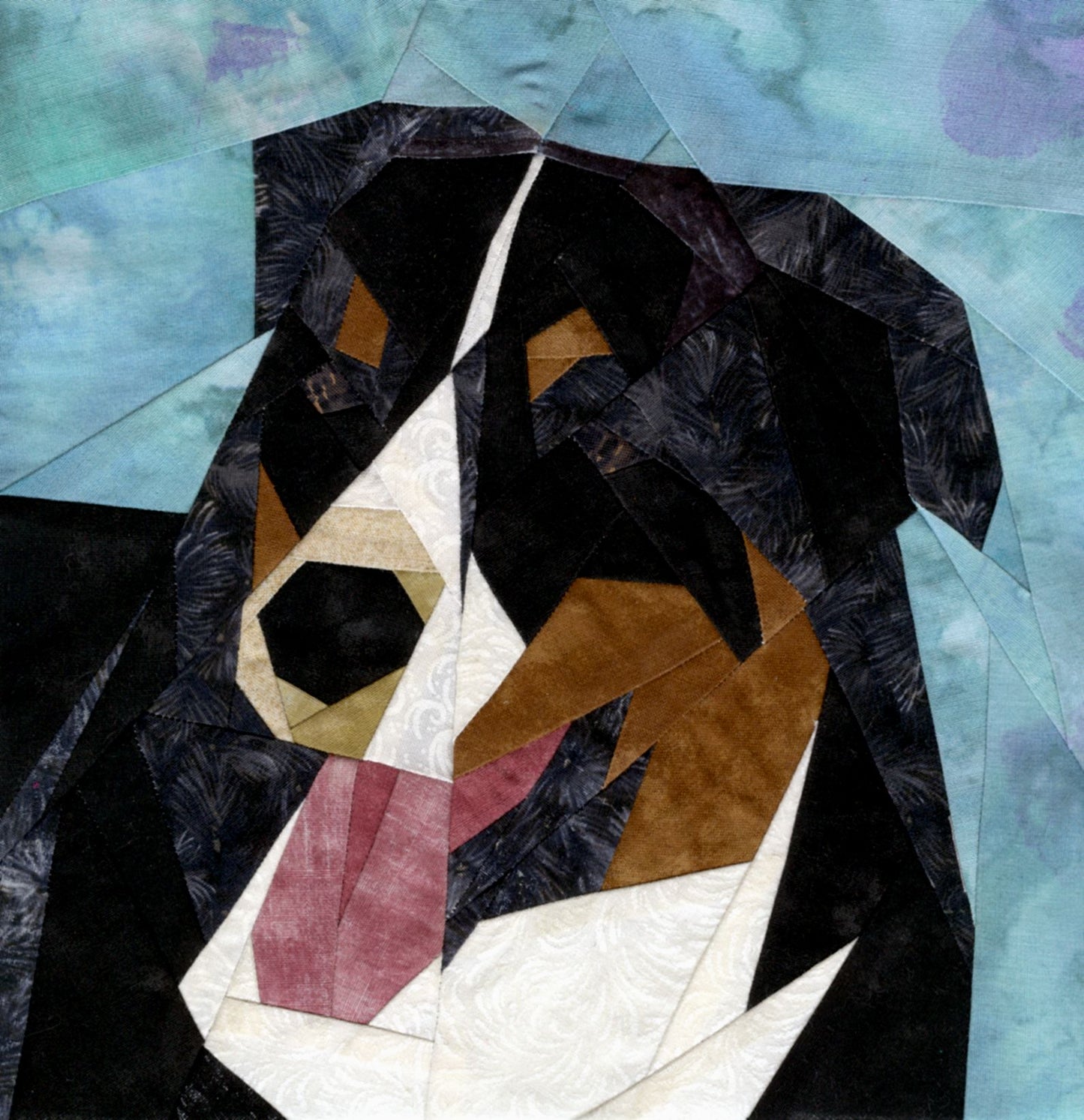 Australian Shepherd (portrait)