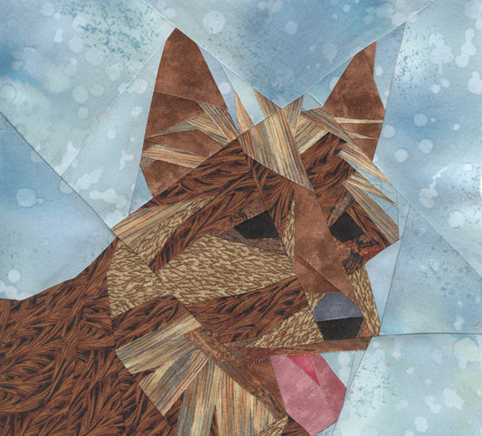 Australian Terrier Portrait