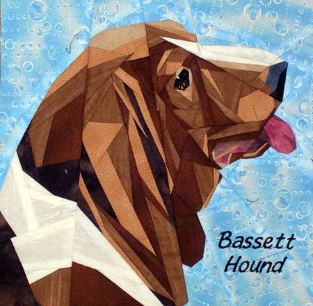 Basset Hound Portrait