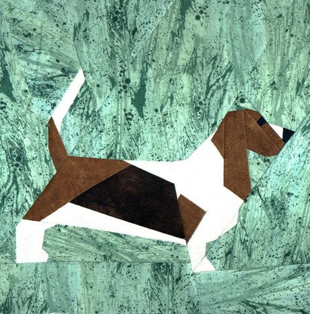 Basset Hound