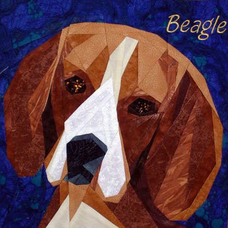 Beagle Portrait