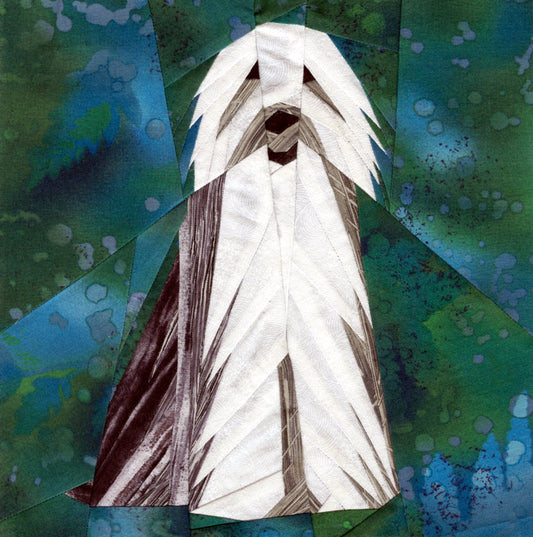 Bearded Collie