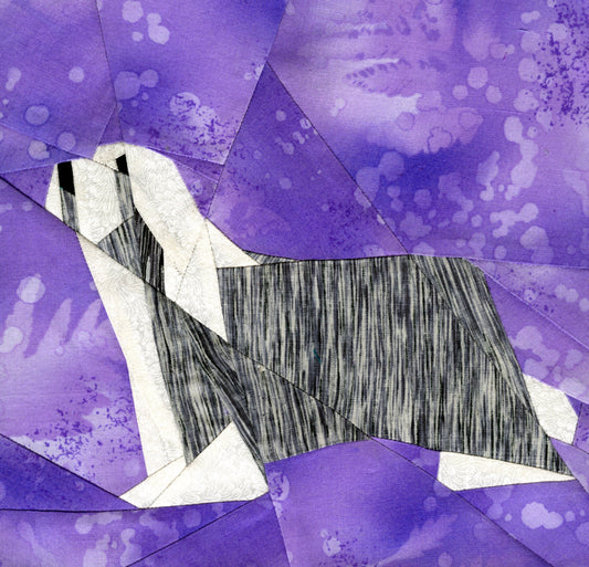 Bearded Collie