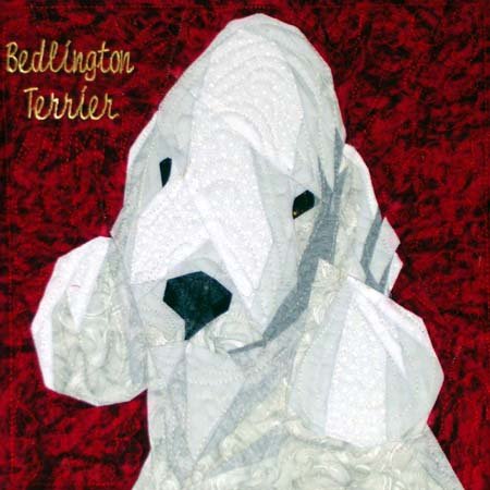 Bedlington Terrier Portrait