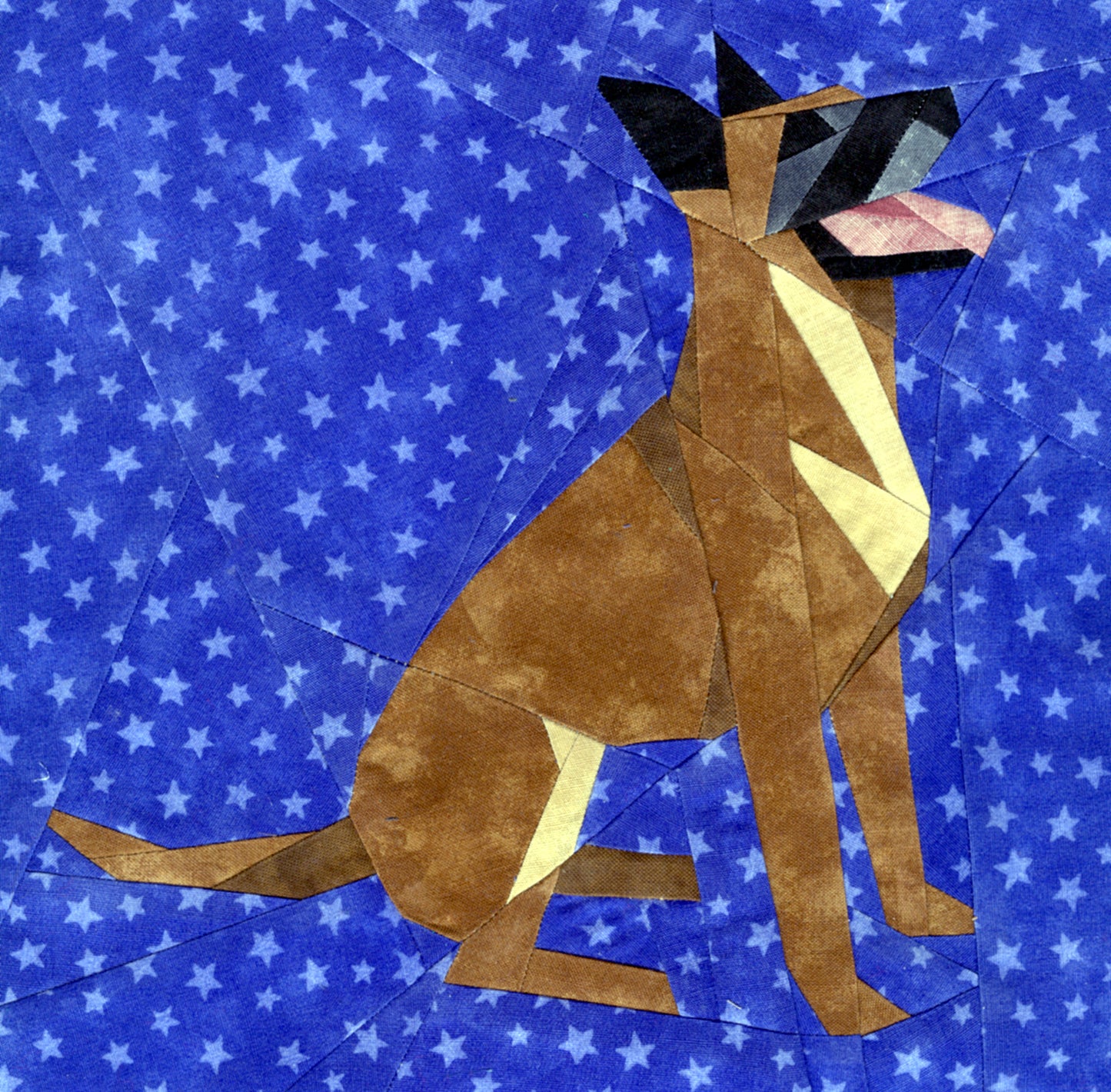Belgian Malinois