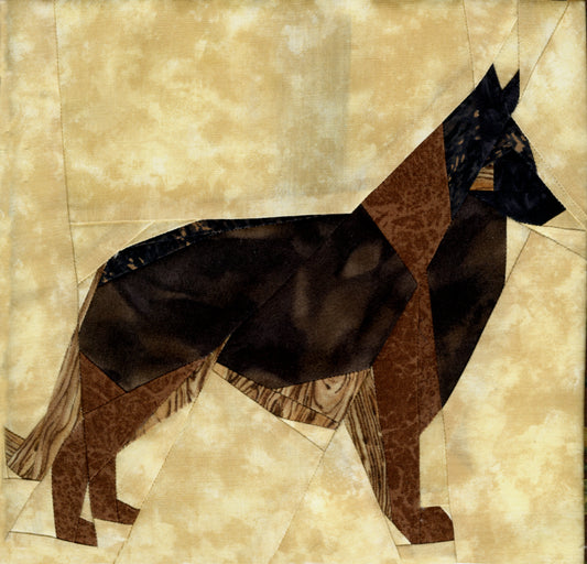 Belgian Tervuren