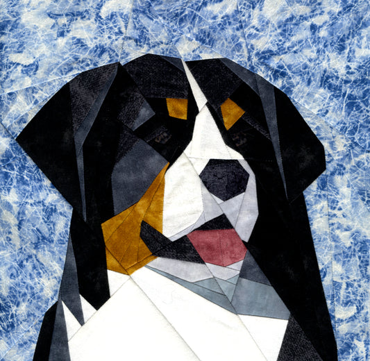 Bernese Mountain Dog Portrait