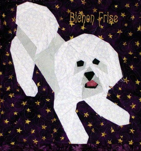 Bichon Frise - Lets Play