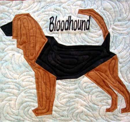 Bloodhound