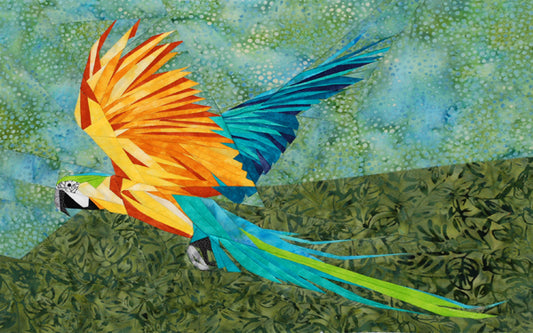 Blue and Yellow Macaw