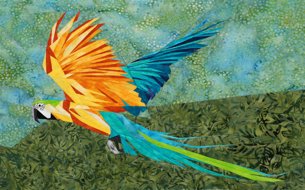 Blue and Yellow Macaw