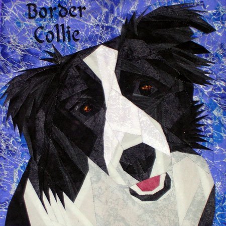 Border Collie Portrait