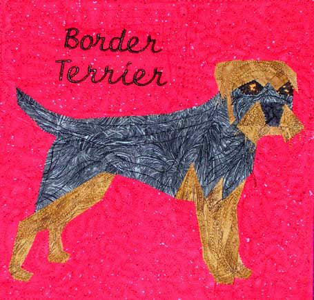 Border Terrier