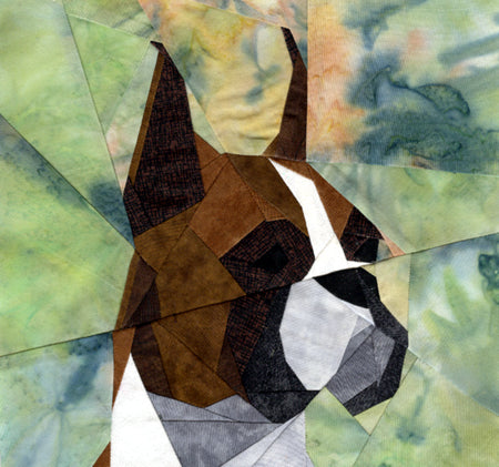 Boxer Portrait