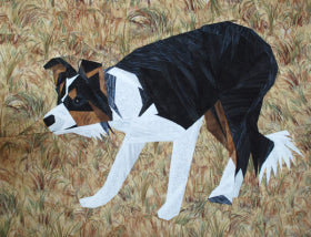 Bessie the Border Collie