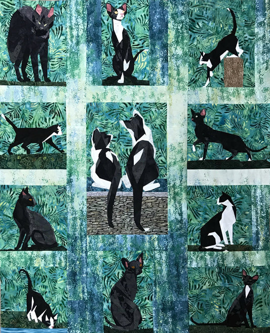 Black and White Cats