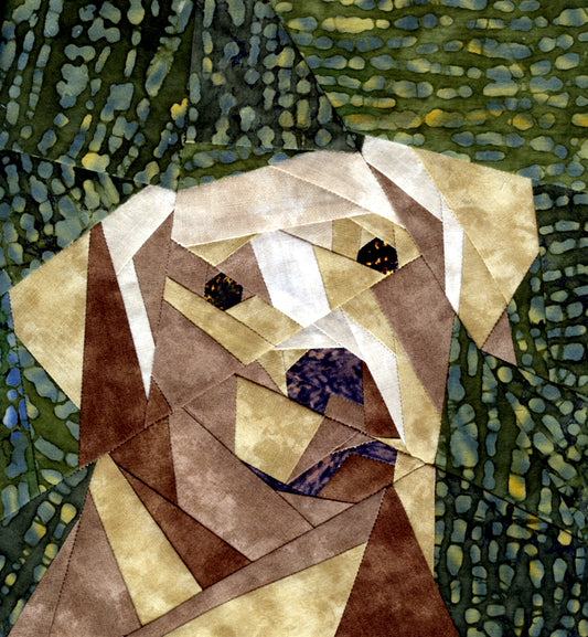 Chesapeake Bay Retriever