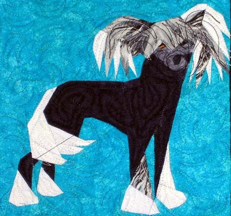 Chinese Crested