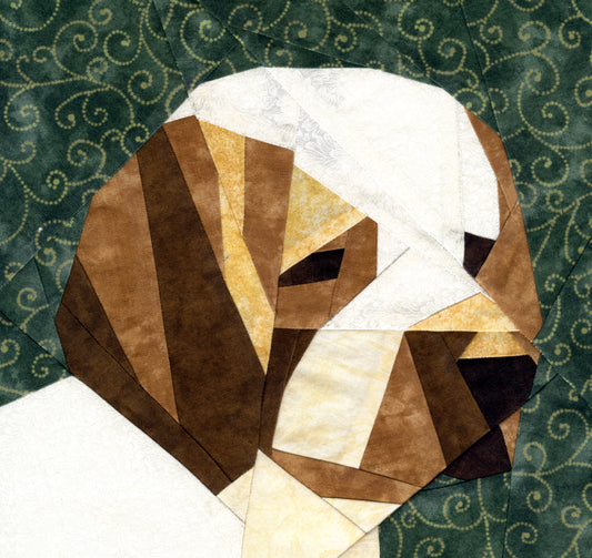 Clumber Spaniel Portrait