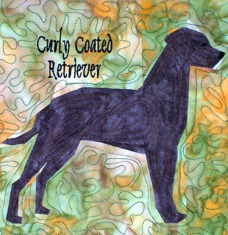 Curly-Coated Retriever