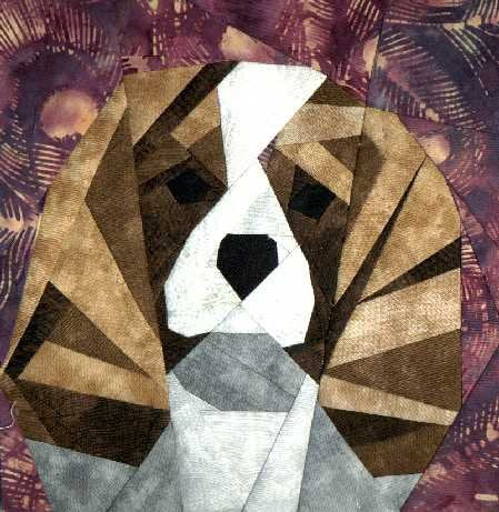 Cavalier King Charles Spaniel Portrait