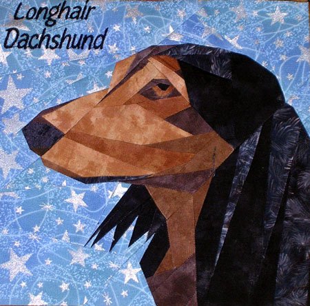 Dachshund Long Hair Portrait