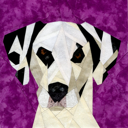 Dalmation Portrait
