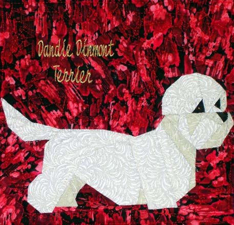 Dandie Dinmont Terrier