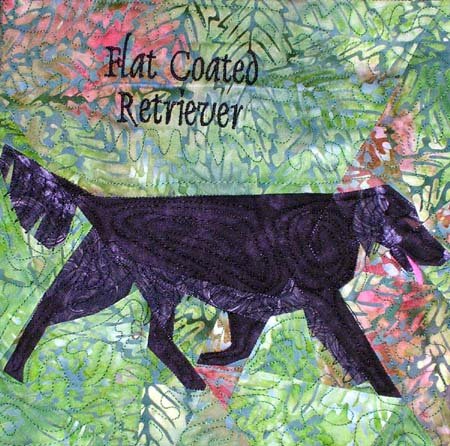 Flat-Coated Retreiver