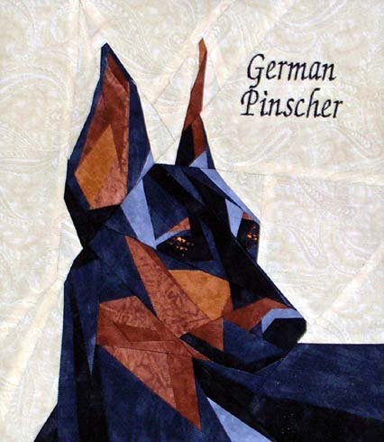 German Pinscher Portrait